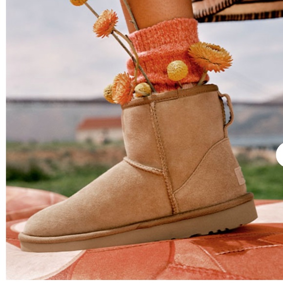 UGG Classic Mini II Genuine Shearling Lined Boot - Picture 10 of 10